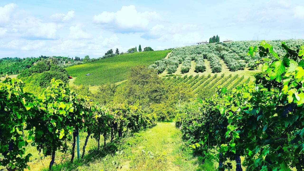 Agriturismo Sant'Ellero San Casciano in Val di Pesa Exterior photo